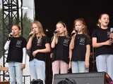 [FOTO, WIDEO] Ziębice FEST 2025 przeszedł do historii. Festiwal z roku na rok rośnie w siłę